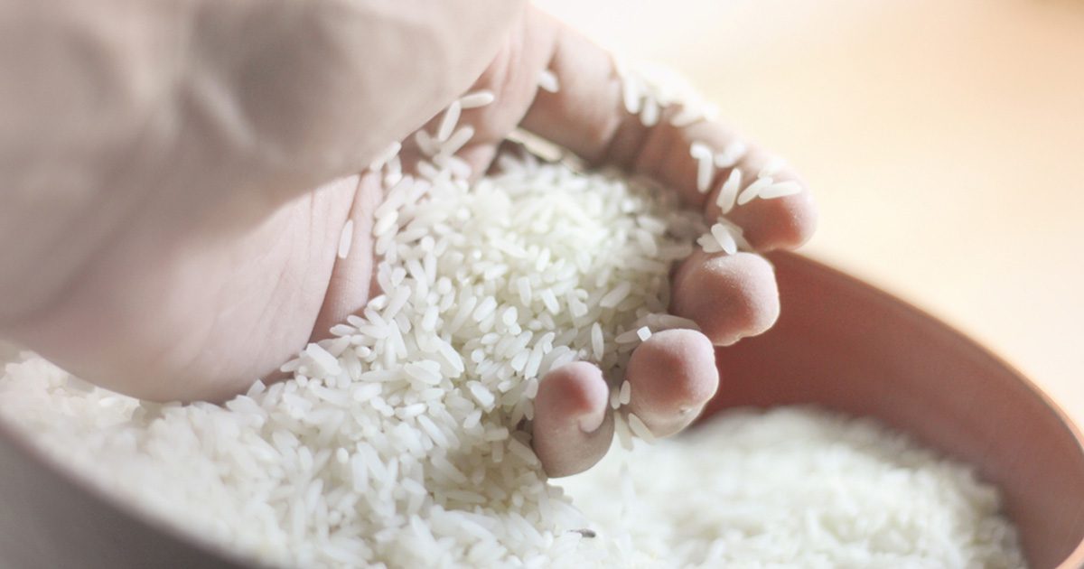 اسعار الارز