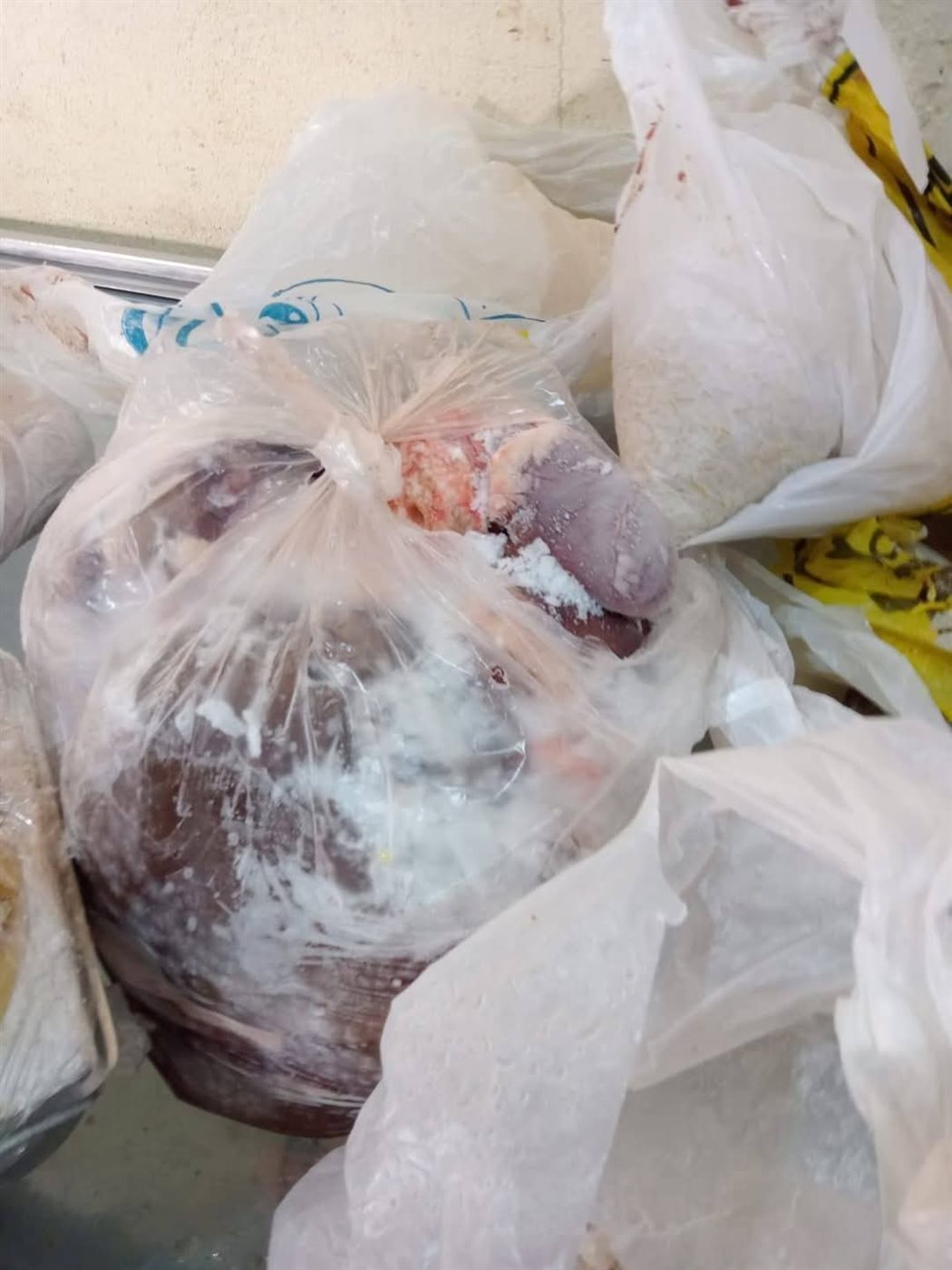 جانب من المضبوطات، فيتو