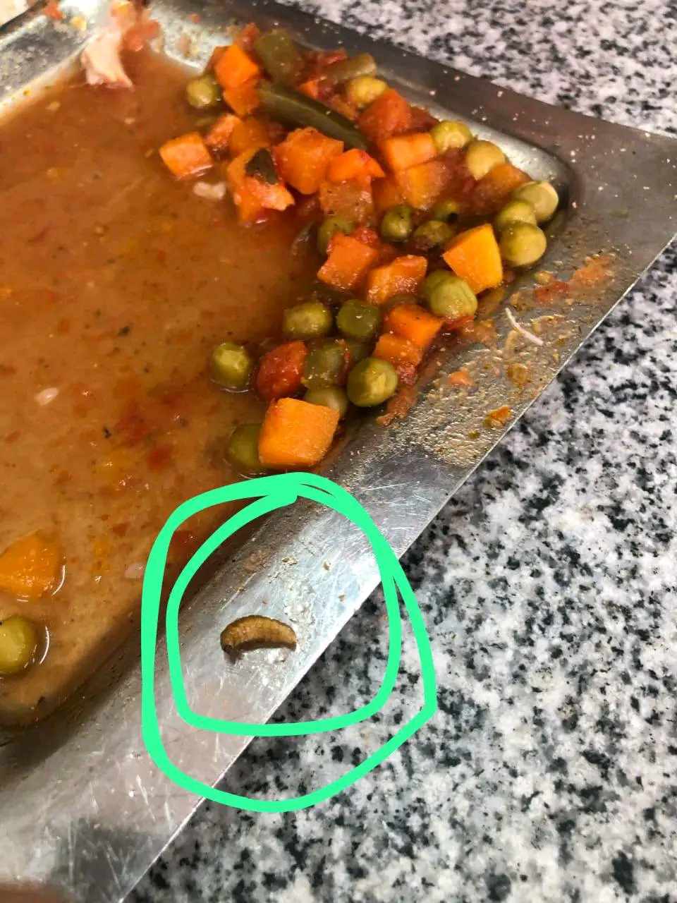 طرد طالبة من سكن المدينة الجامعية بالشرقية بعد كشفها عن سوء جودة الطعام والجامعة تفتح تحقيقا،فيتو