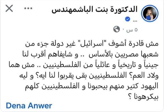 تدوينة دينا أنور المثيرة للجدل، فيتو