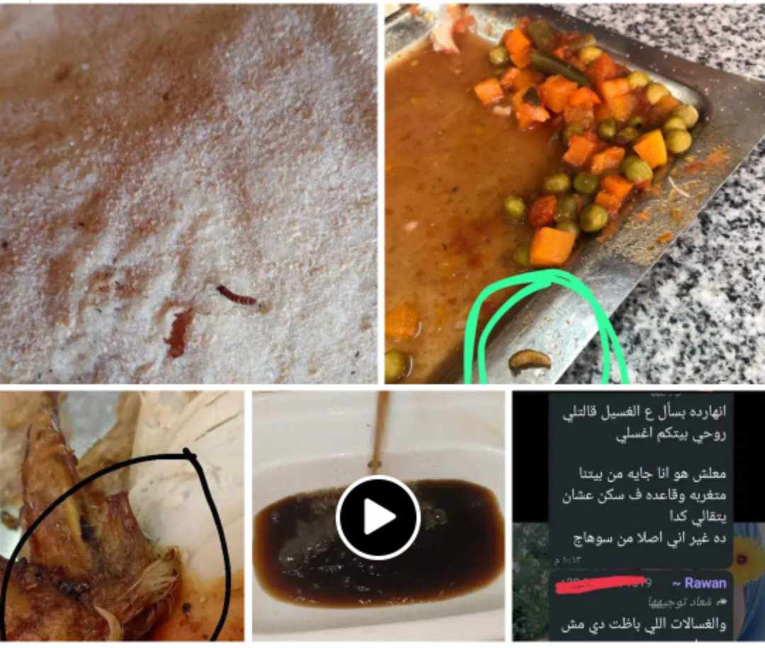 طرد طالبة من سكن المدينة الجامعية بالشرقية بعد كشفها عن سوء جودة الطعام والجامعة تفتح تحقيقا،فيتو<br>