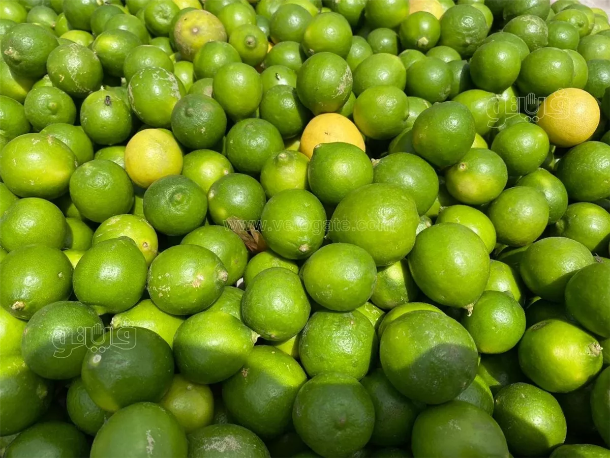 <strong>اسعار كيلو ليمون </strong>