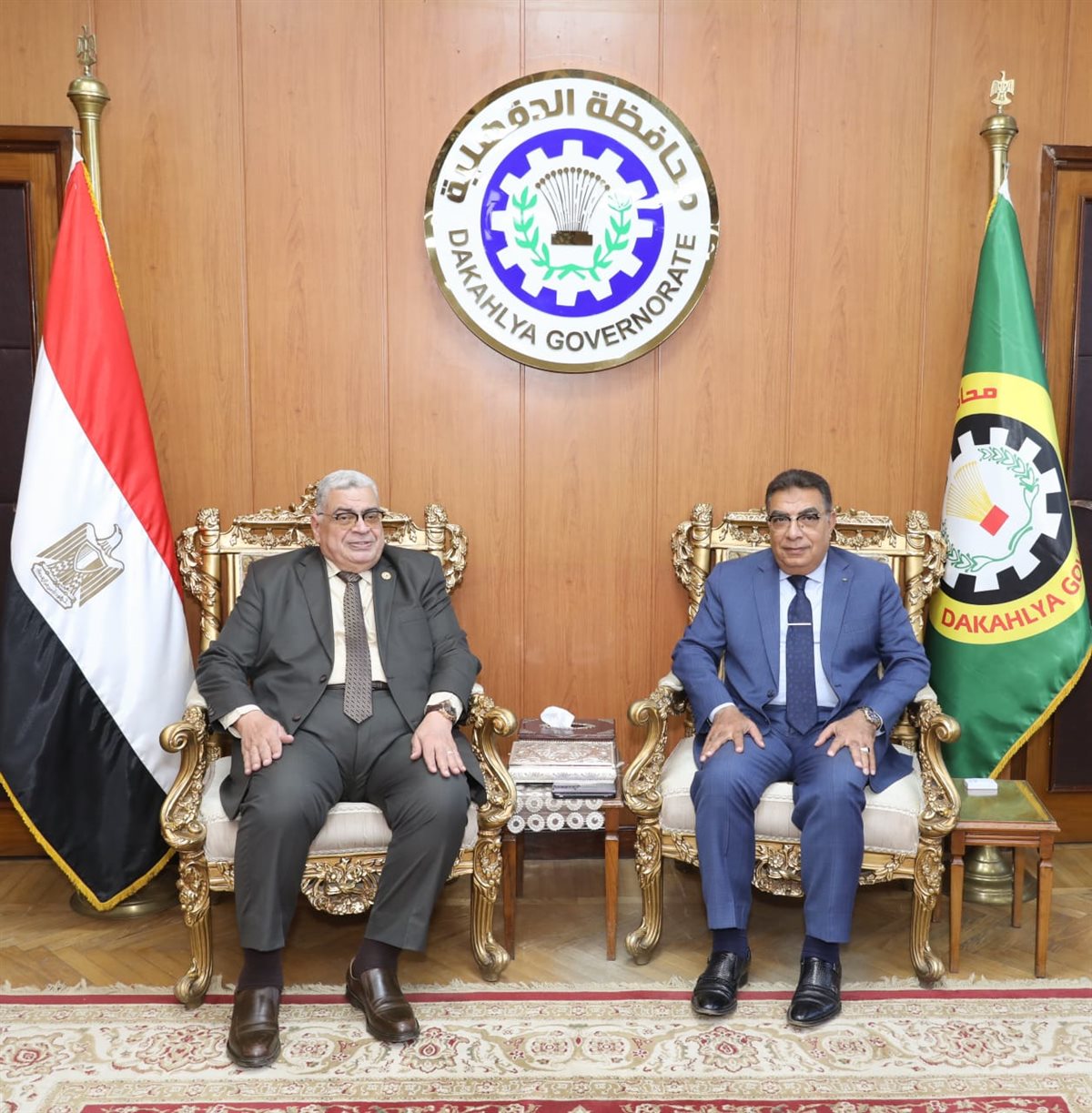 مجلس الدولة