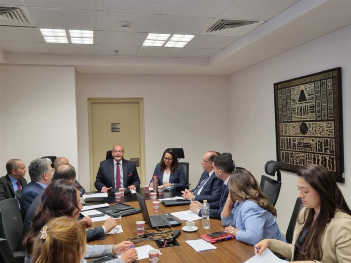 السفير سامح أبو العينين، فيتو