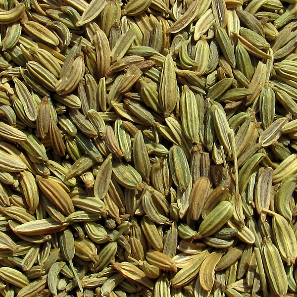 الشمر لصحة الجميع