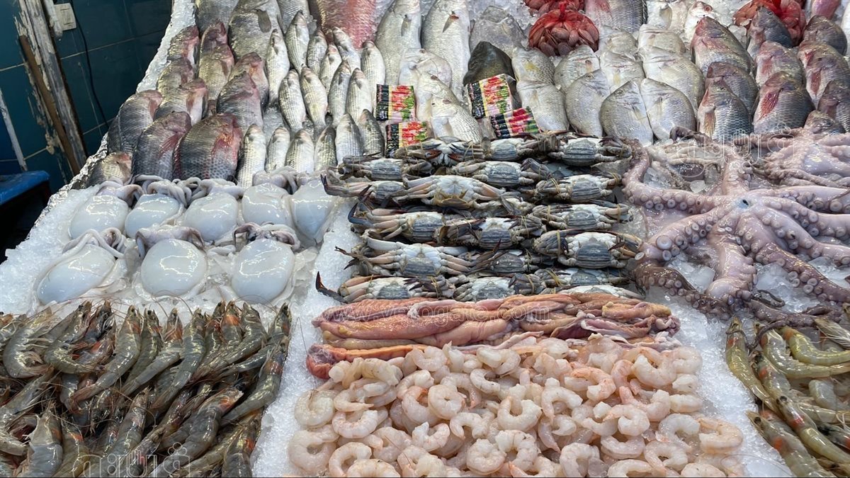 سعر السمك اليوم