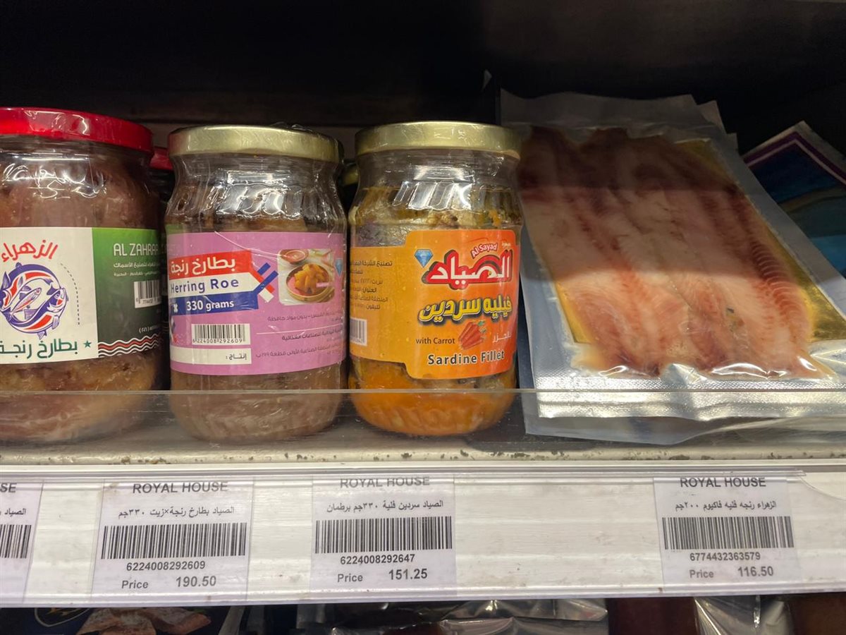 سعر الرنجة اليوم