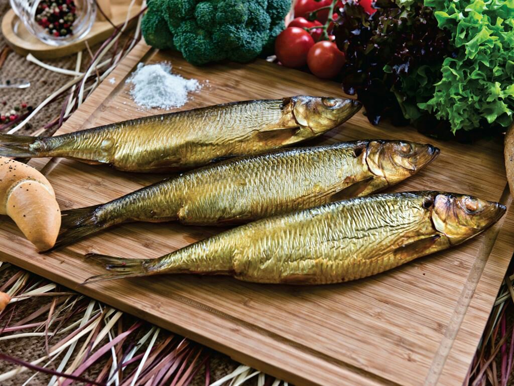 سعر الرنجة اليوم