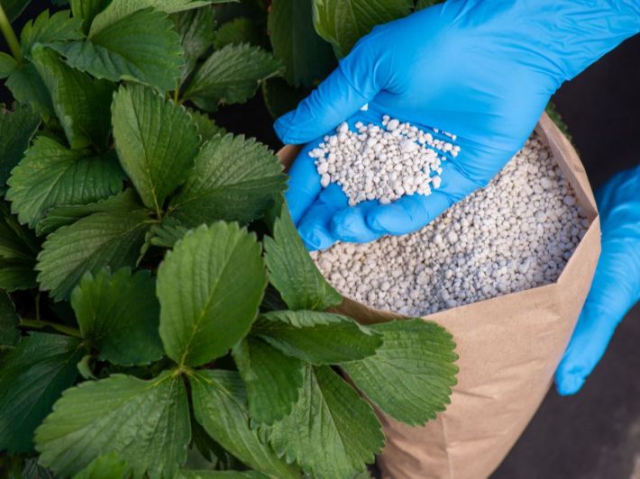 أسعار الأسمدة اليوم<span style=