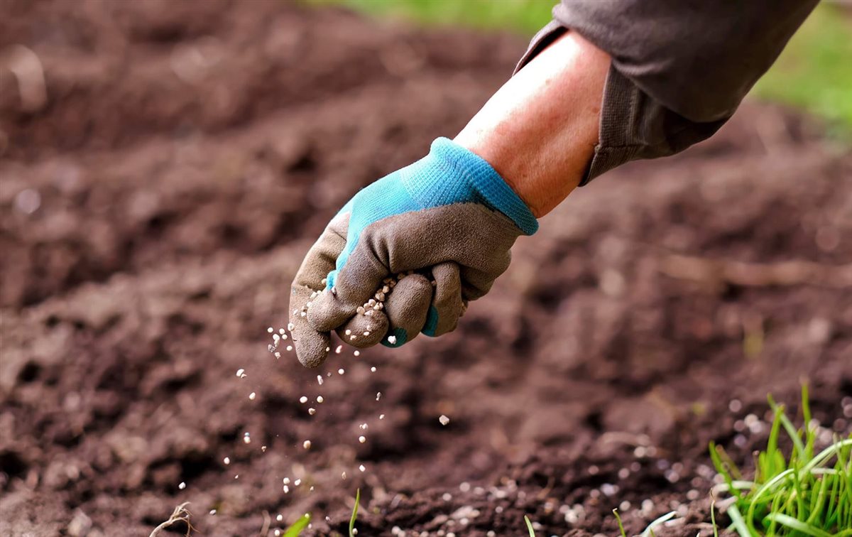 أسعار الأسمدة اليوم<span style=