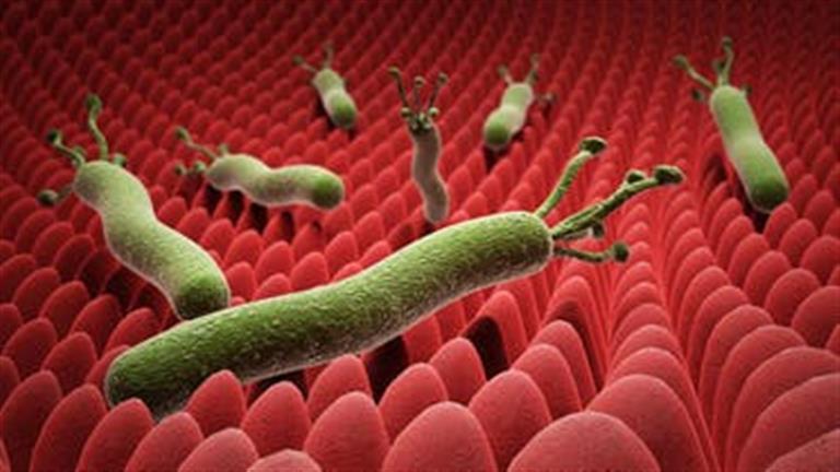 أعراض جرثومة المعدة 