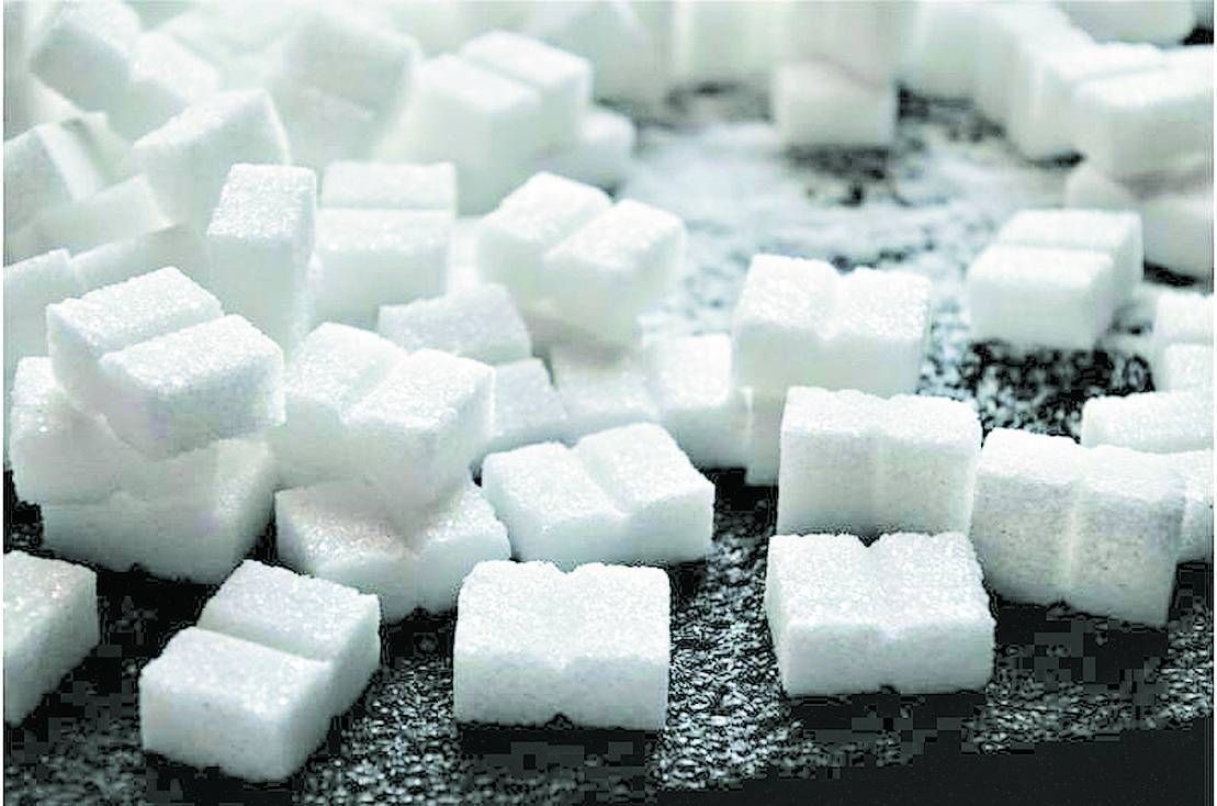 اسعار السكر اليوم