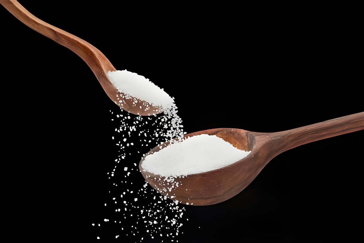 اسعار السكر اليوم