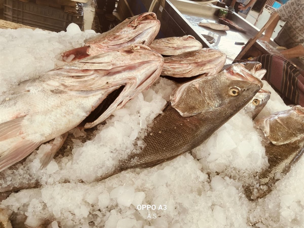 جانب من الجولة، فيتو