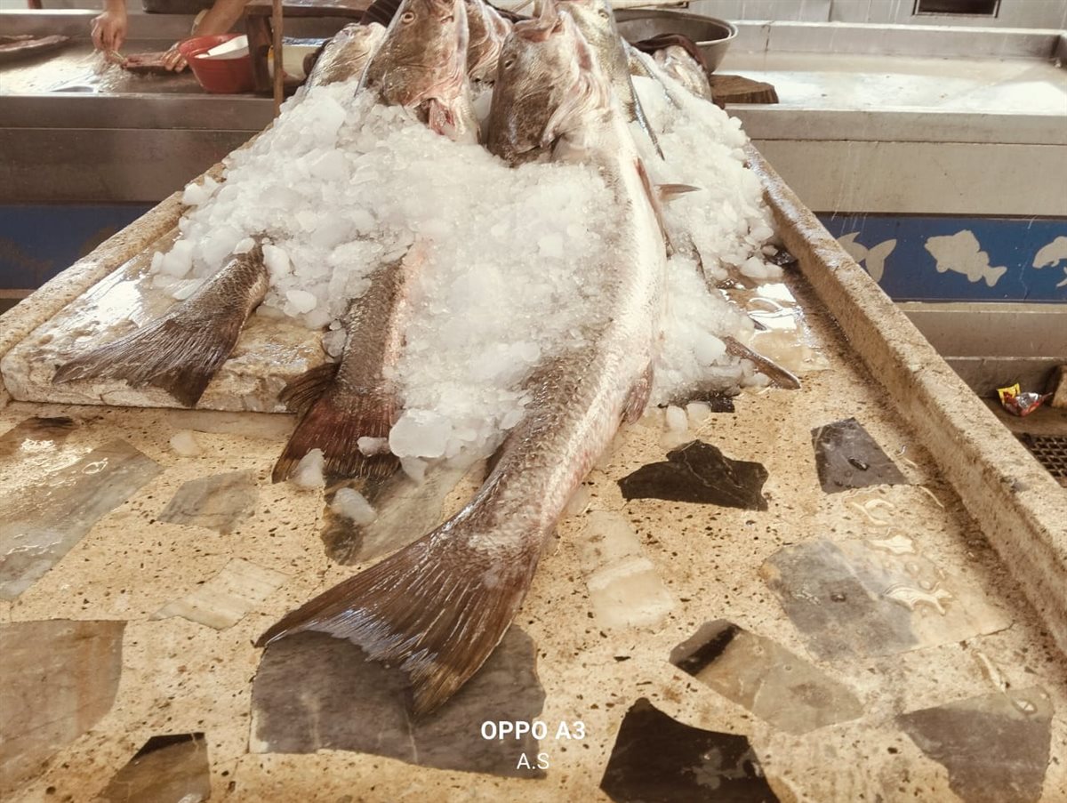 سوق السمك بالإسماعيلية، فيتو