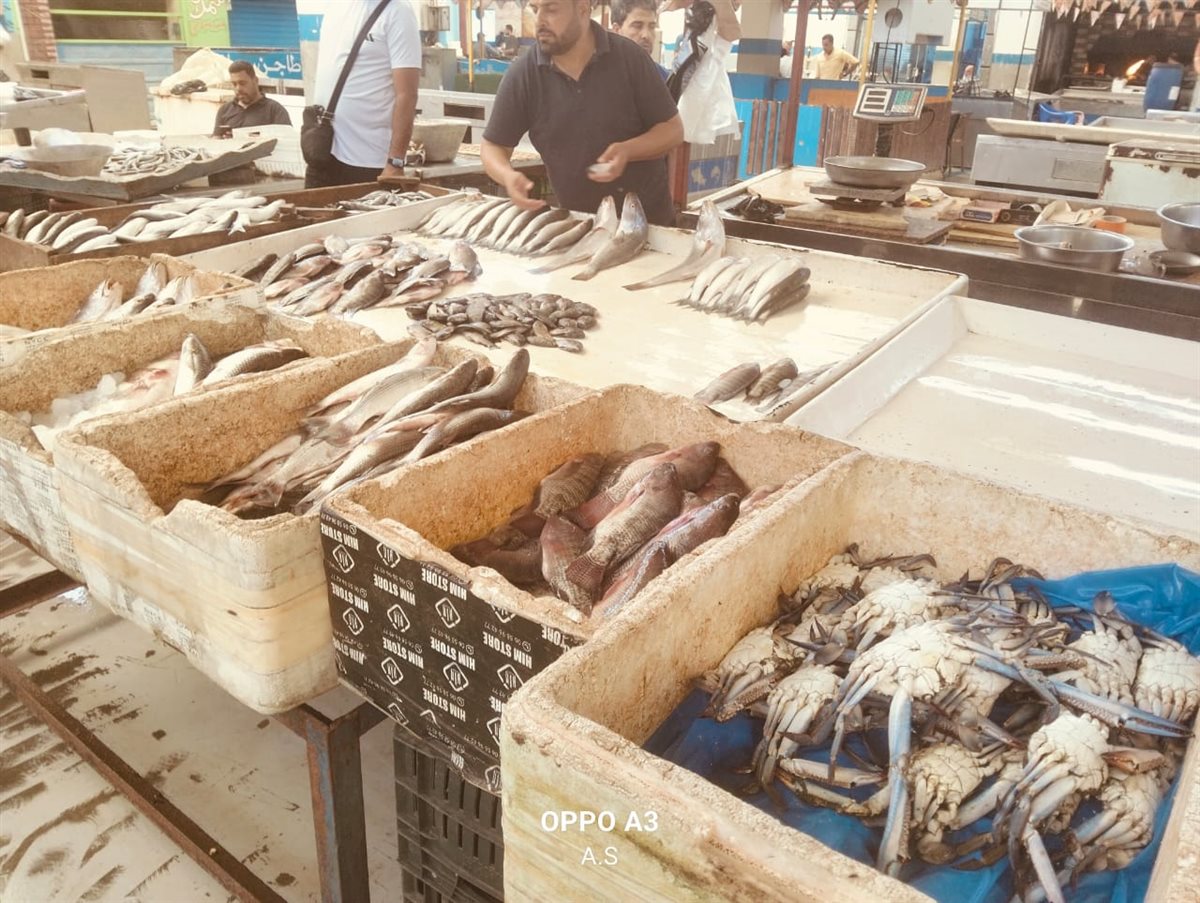 جانب من الجولة، فيتو