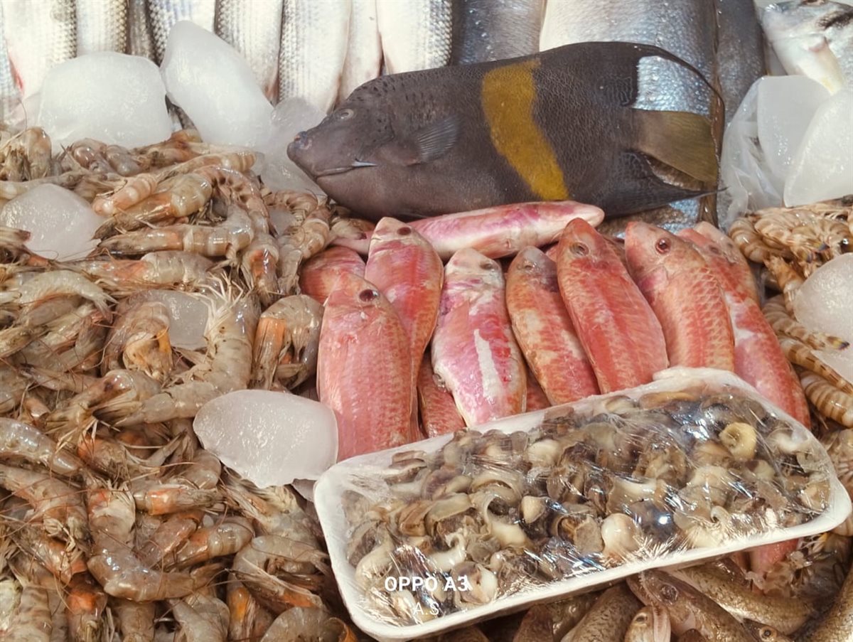 جانب من الجولة، فيتو