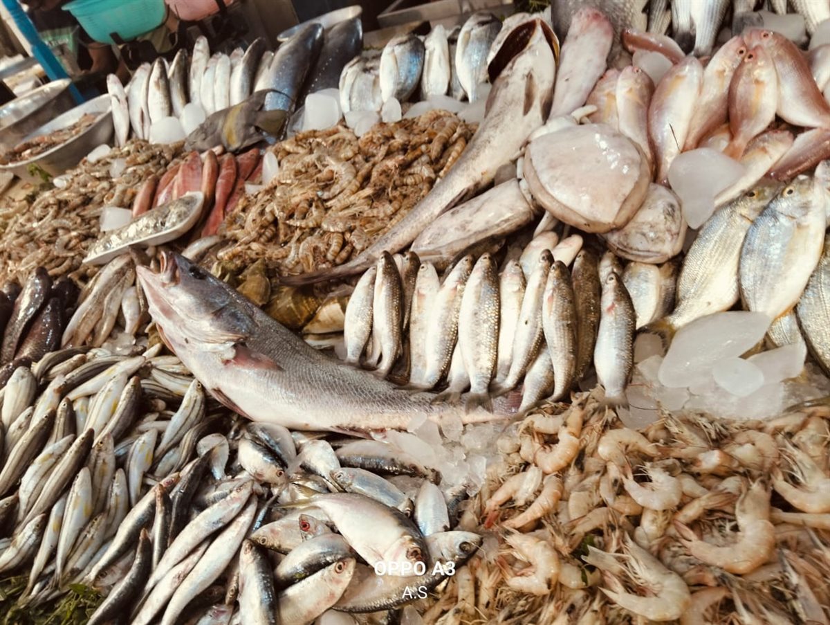 جانب من الجولة، فيتو