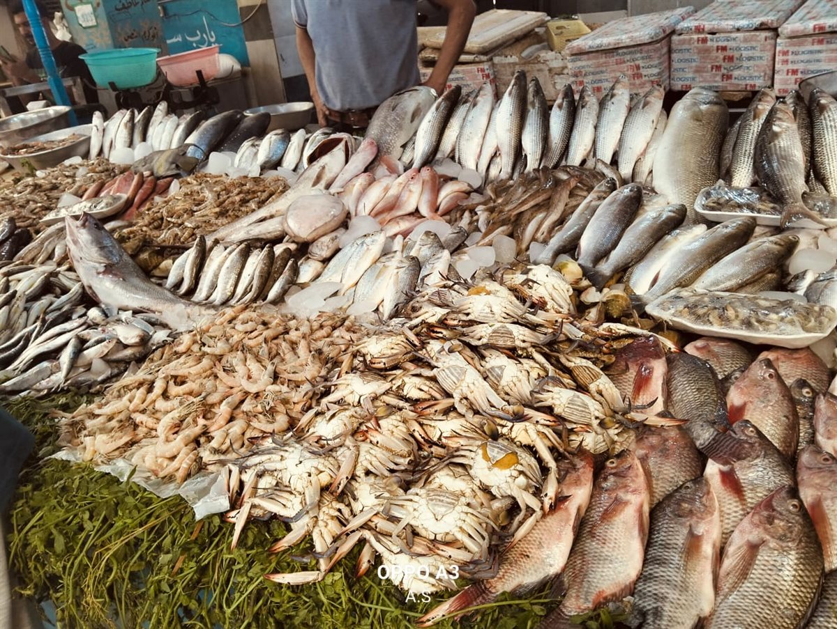 جانب من الجولة، فيتو