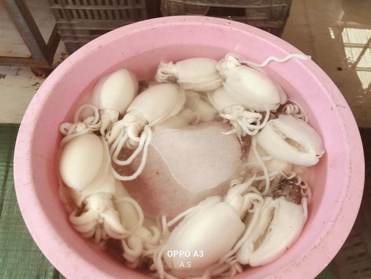 جانب من الجولة، فيتو