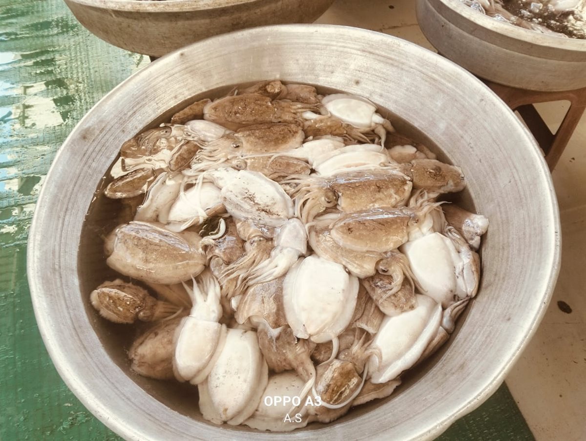 جانب من الجولة، فيتو