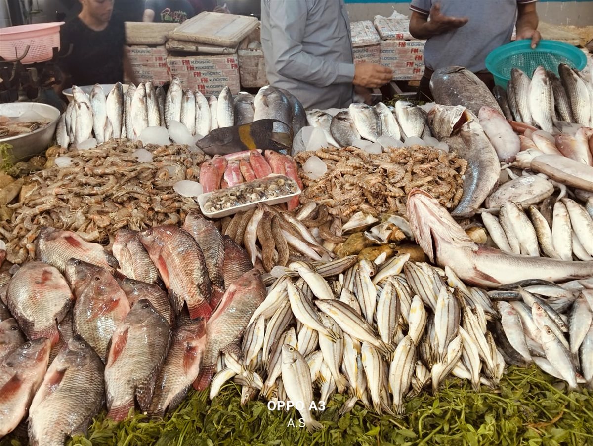 جانب من الجولة، فيتو