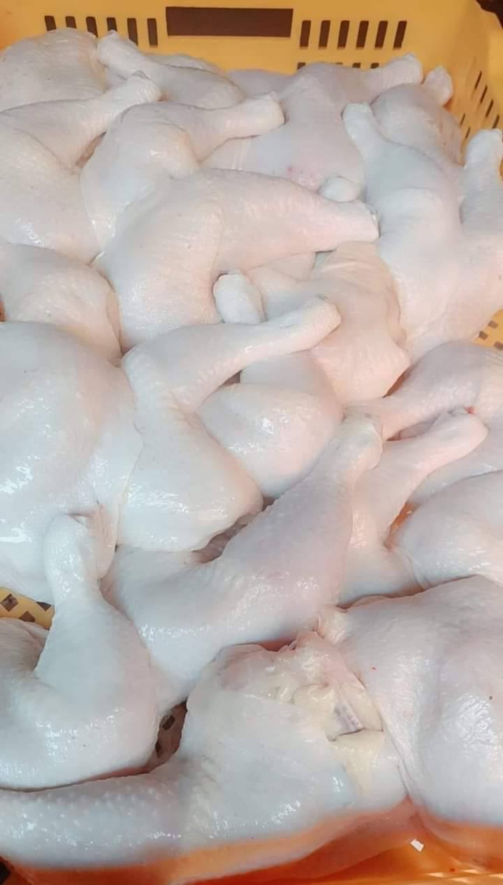 <strong>أسعار الفراخ اليوم، فيتو</strong>