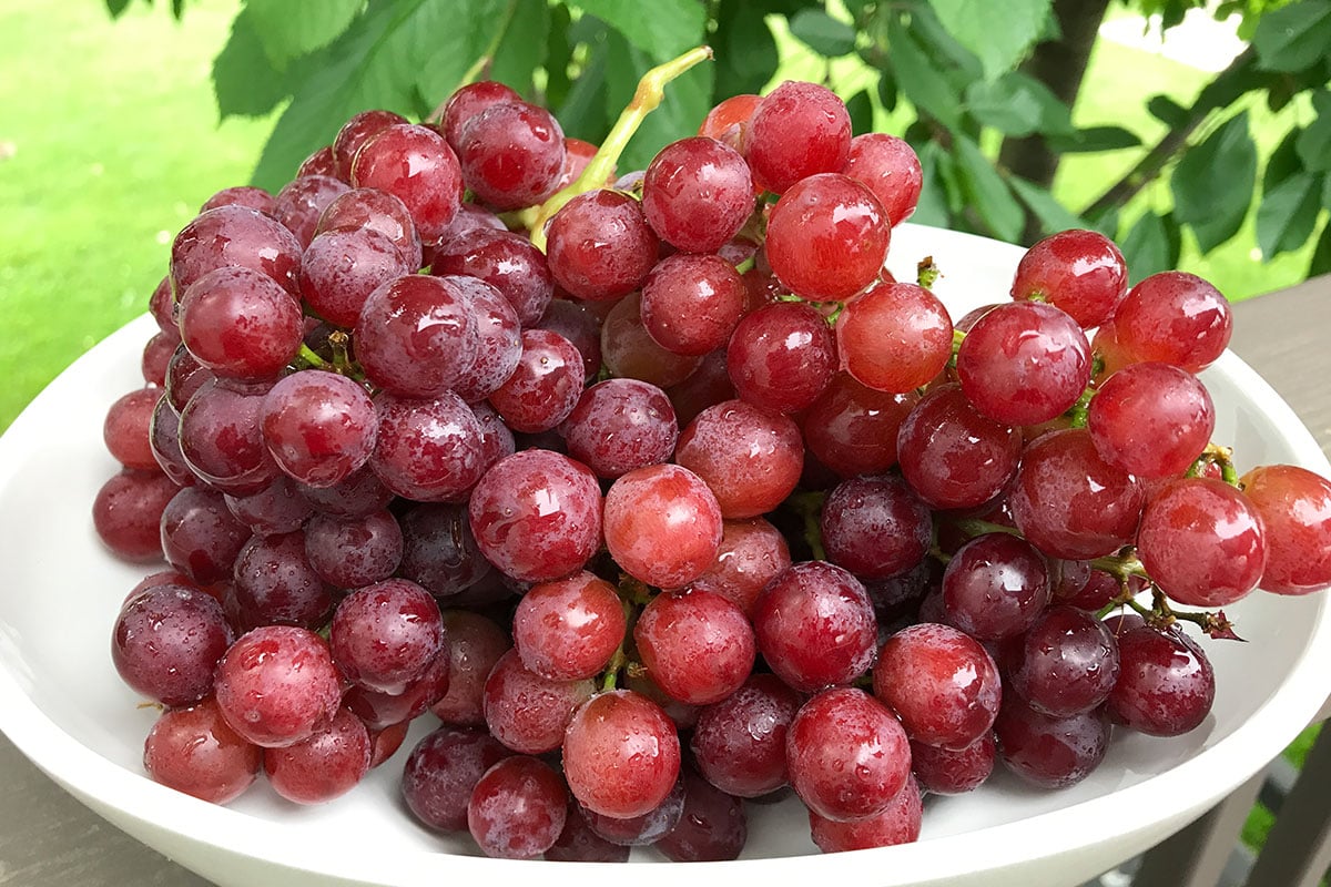 فوائد العنب الأحمر للصحة