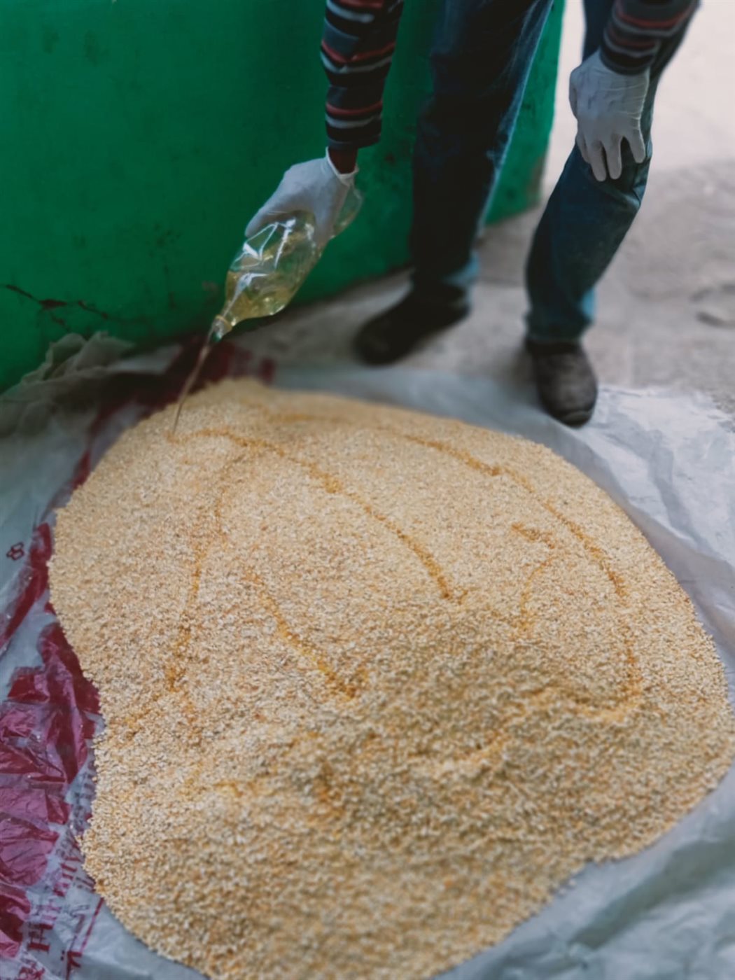 جانب من جهود مديرية الزراعة، فيتو