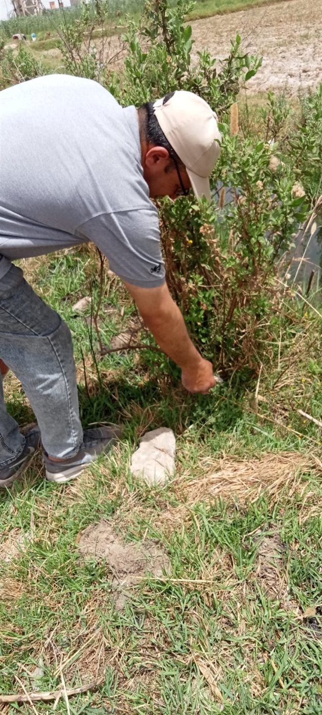 جانب من جهود مديرية الزراعة، فيتو