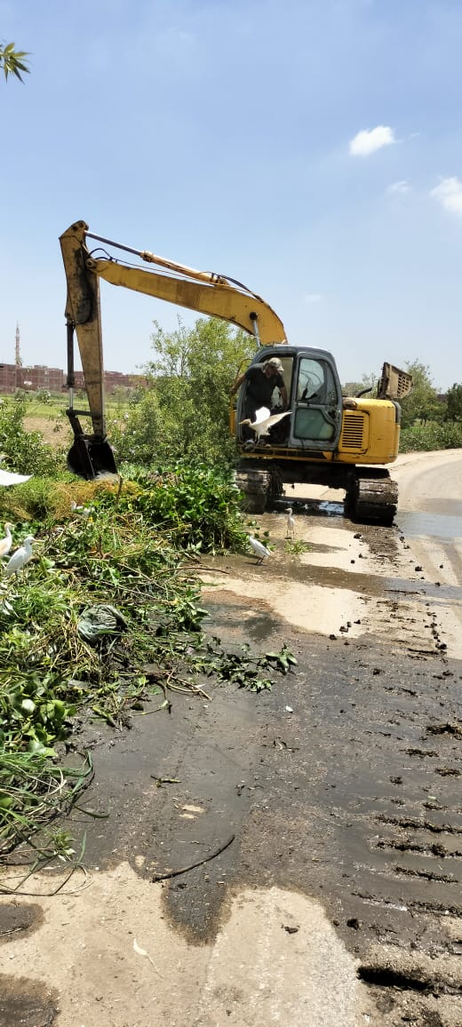 جانب من جهود مديرية الزراعة، فيتو