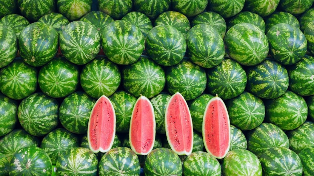 سعر الفاكهة