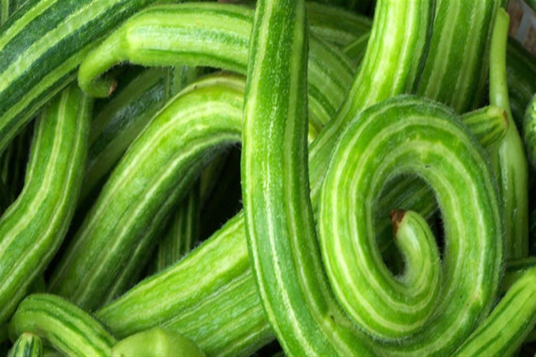 فوائد القته للصحة 