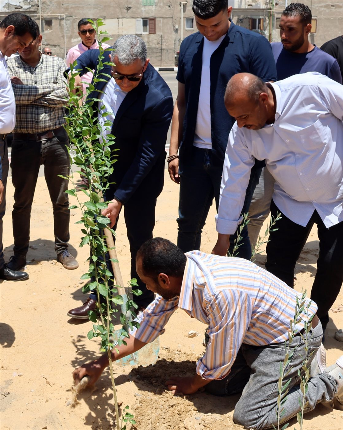 جانب من الجولة،فيتو