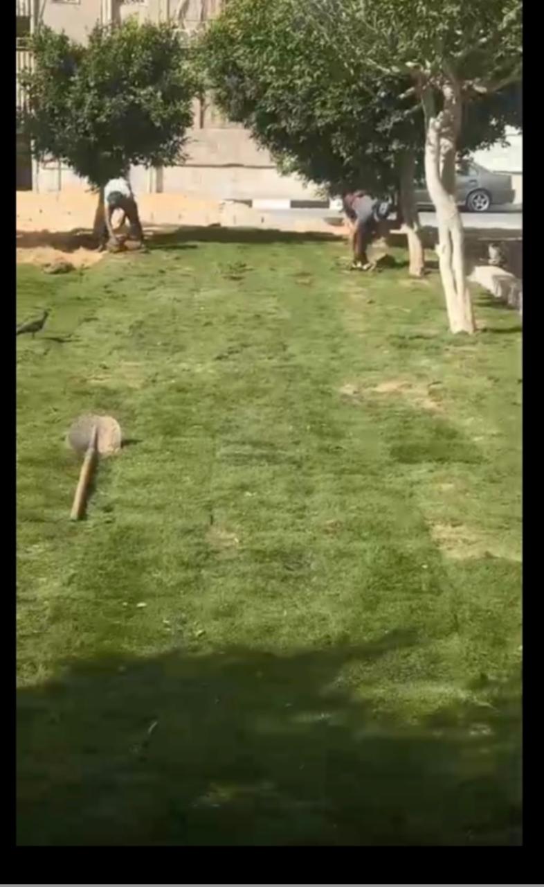 المنطقة بعد التطوير، فيتو