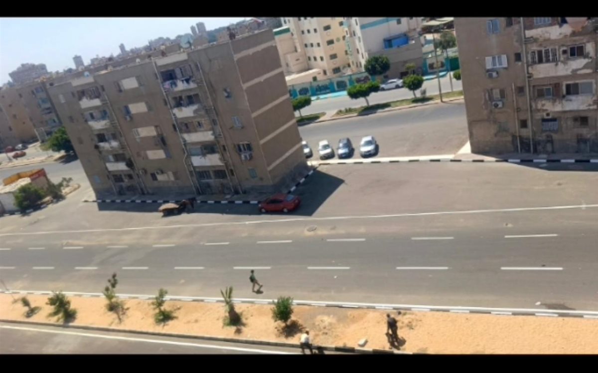 المنطقة بعد التطوير، فيتو