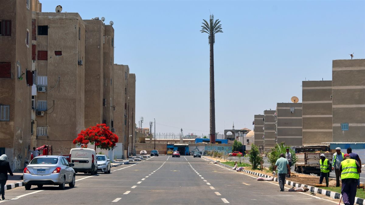 المنطقة بعد التطوير، فيتو