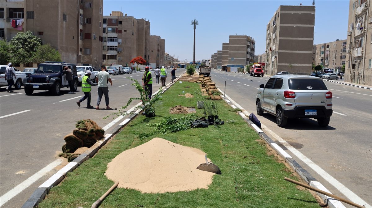 المنطقة بعد التطوير، فيتو