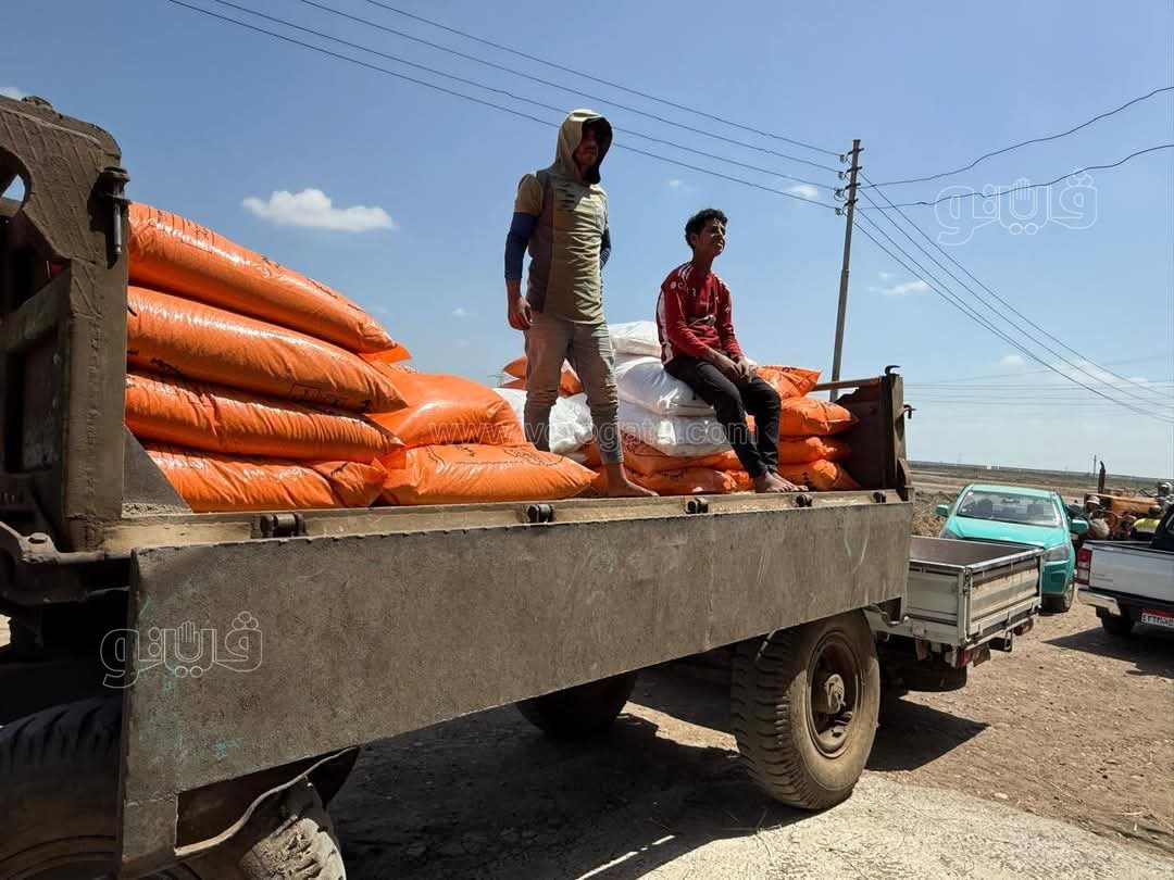 تسليم الأسمدة الزراعية الصيفية للمزارعين ببورسعيد، فيتو 