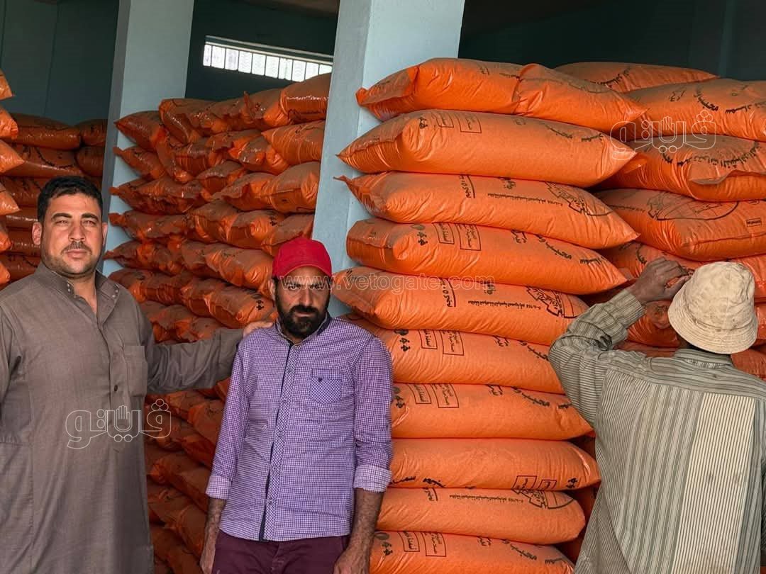 تسليم الأسمدة الزراعية الصيفية للمزارعين ببورسعيد، فيتو 