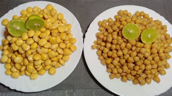 اسعار الترمس والحمص