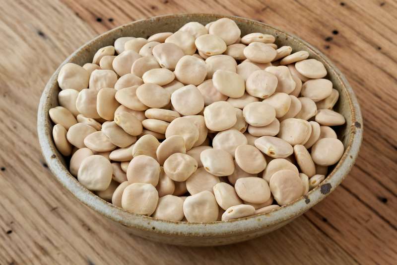 اسعار الترمس