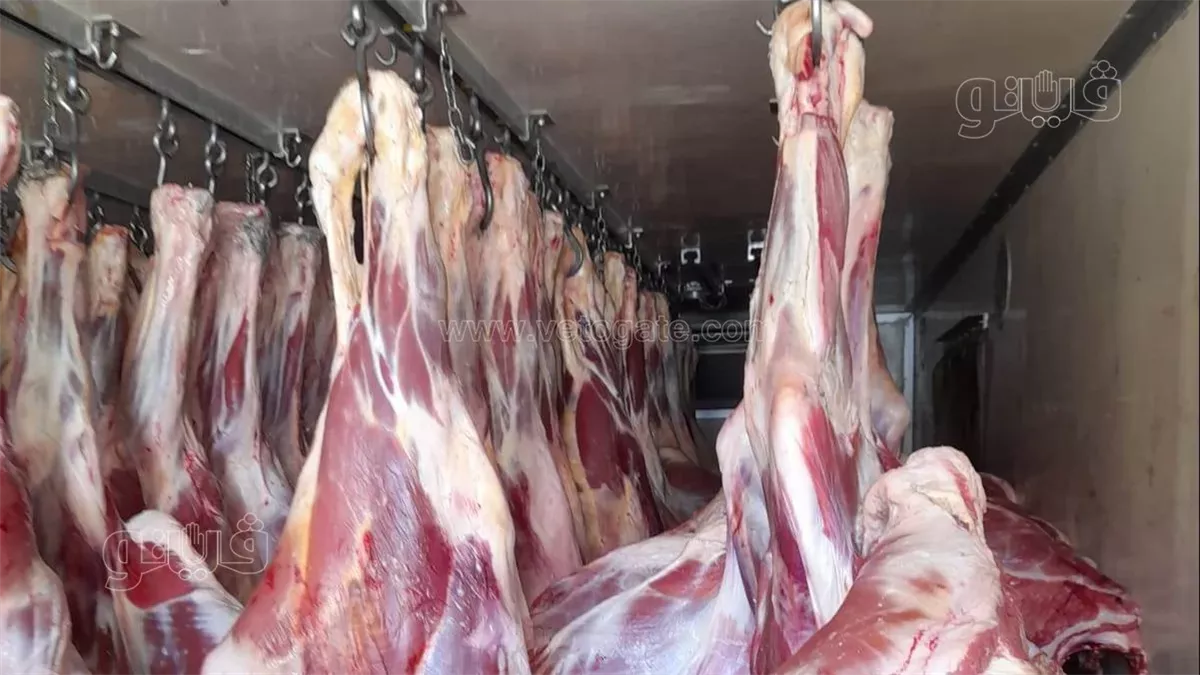 اسعار اللحمه اليوم
