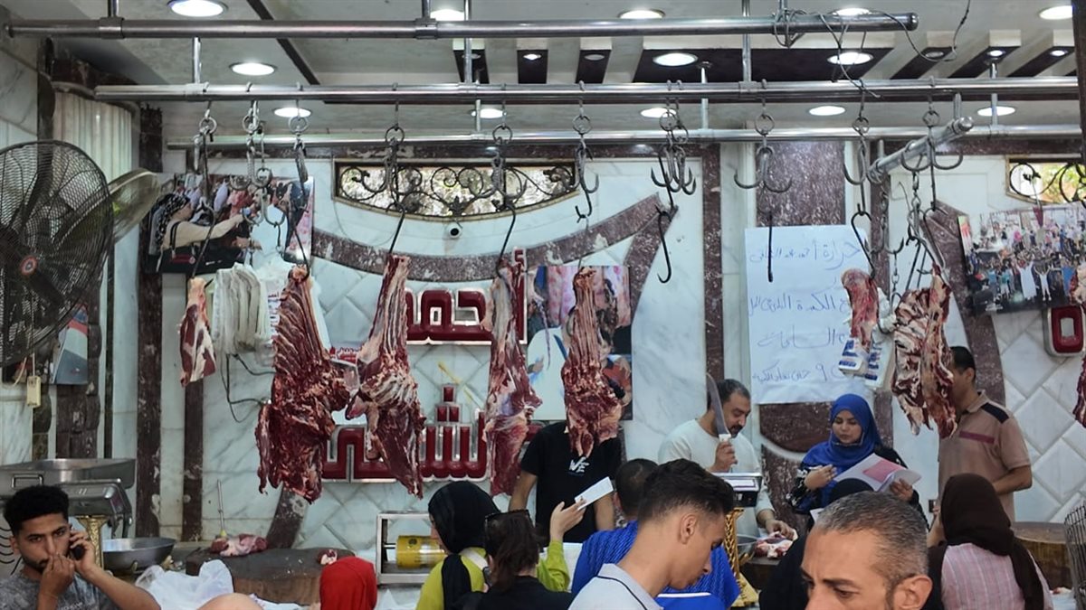 جانب من الحملة، فيتو