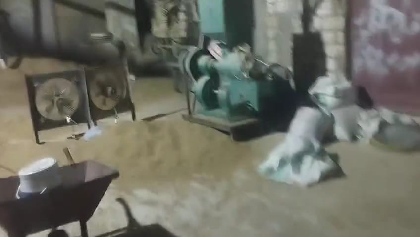 مصنع يحوّل القمح إلى توابل ببني سويف