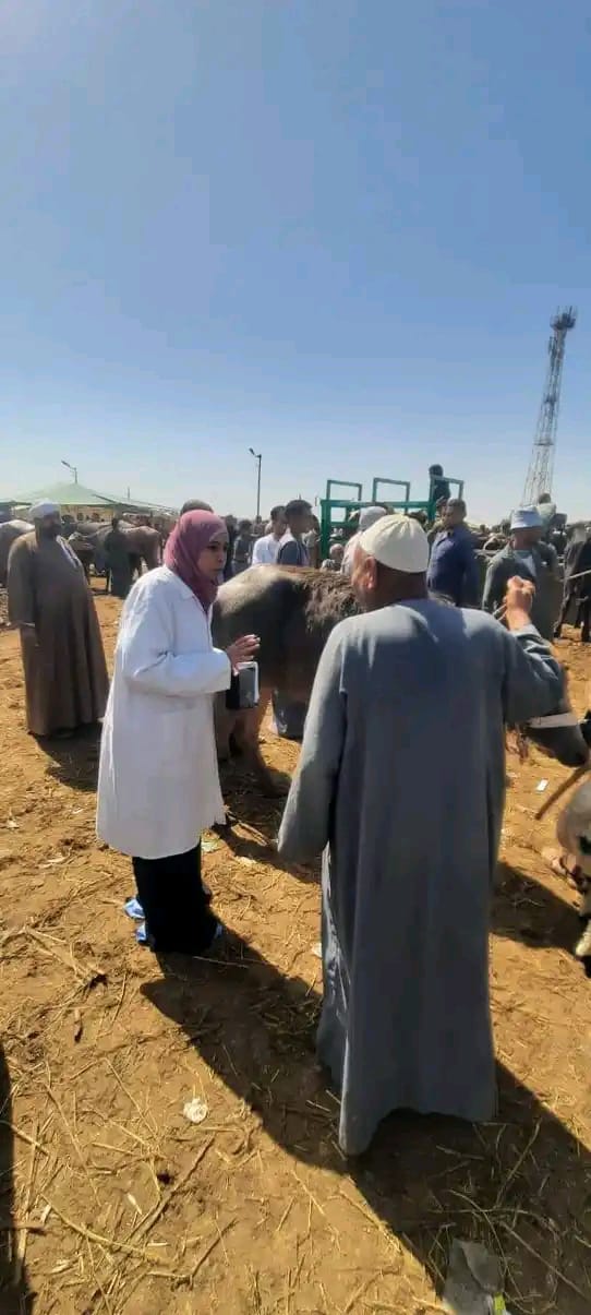 جانب من الجولة، فيتو