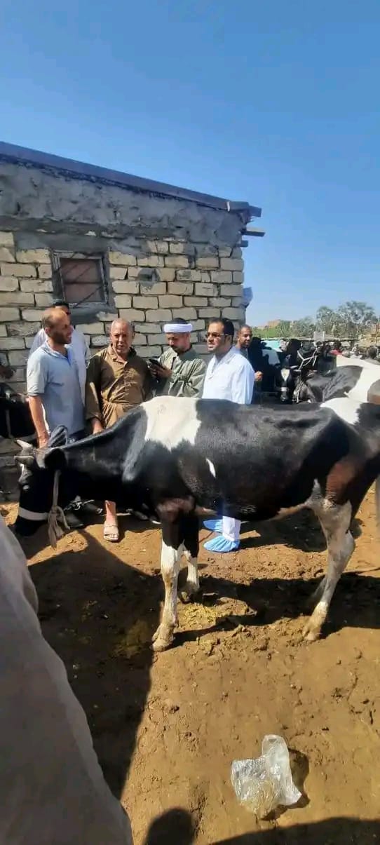 جانب من الجولة، فيتو