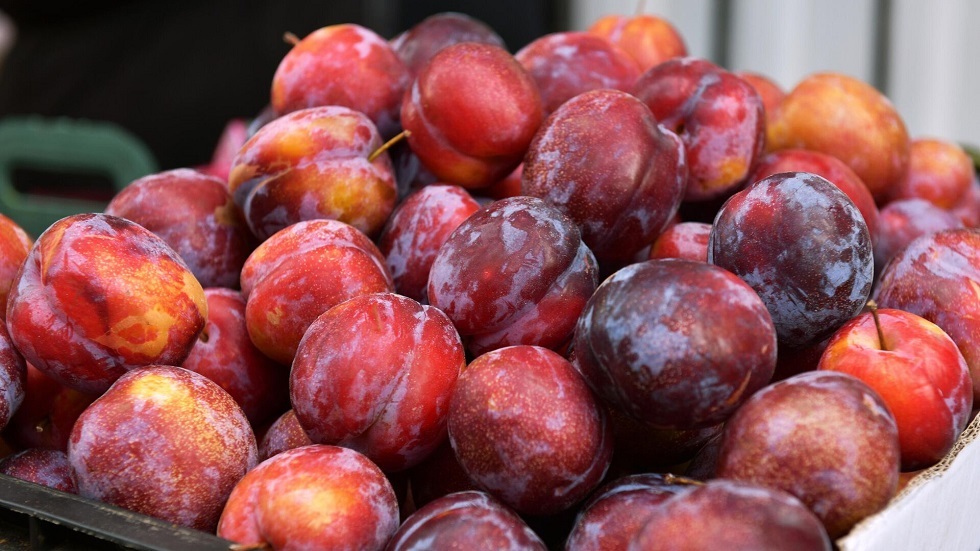 فوائد البرقوق الصحية