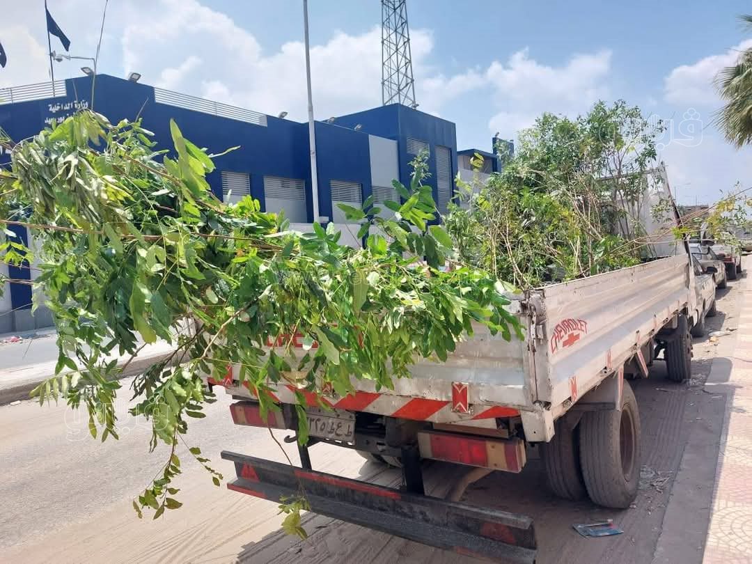 تدشين المرحلة الثالثة من مبادرة 100 مليون شجره بضواحي بورسعيد، فيتو