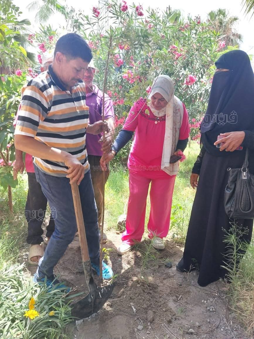 تدشين المرحلة الثالثة من مبادرة 100 مليون شجره بضواحي بورسعيد، فيتو